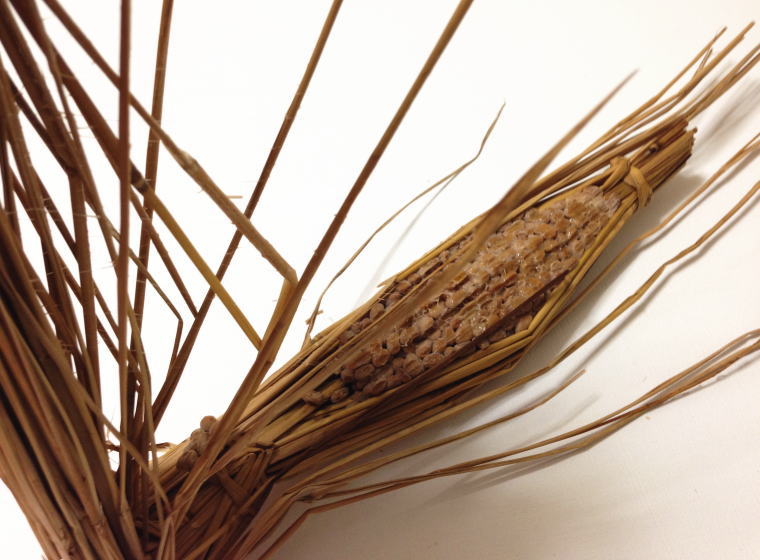 わら納豆 わら開ける