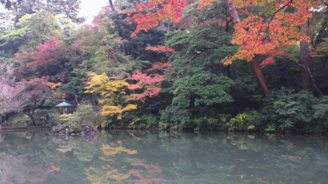兼六園に行ってきた｜金沢旅行記その①