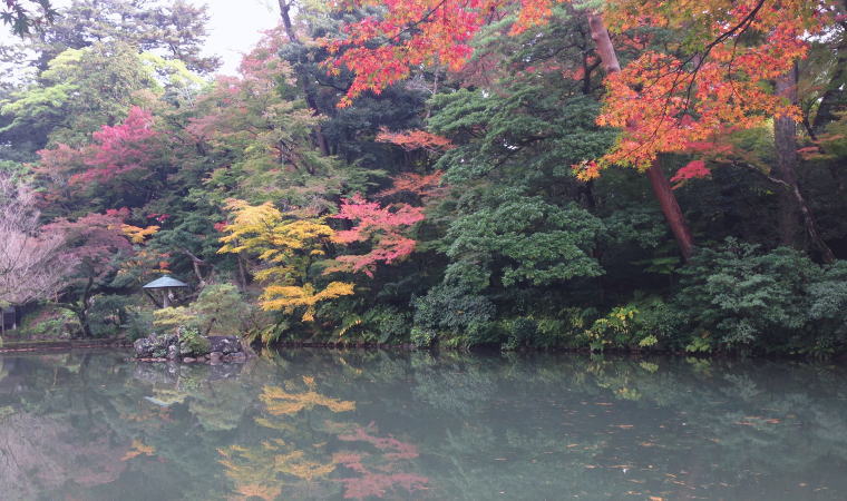 兼六園に行ってきた｜金沢旅行記その①