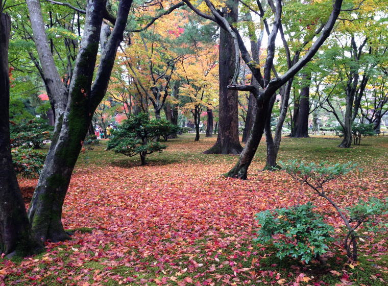 兼六園 紅葉