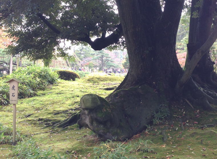 兼六園 虎石