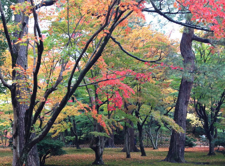兼六園 紅葉