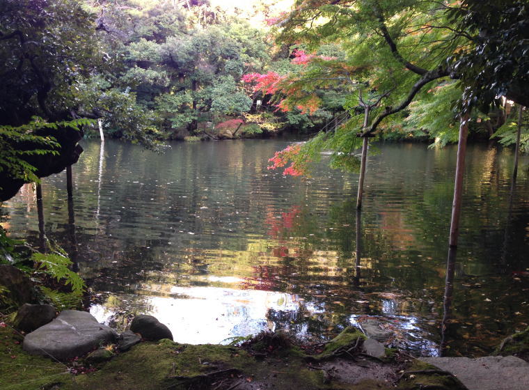鈴木大拙館 周辺散策