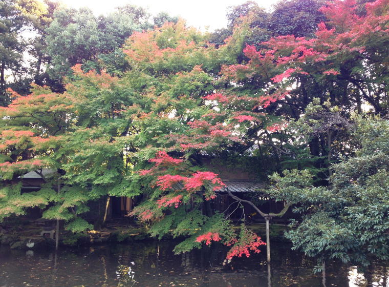鈴木大拙館 周辺散策