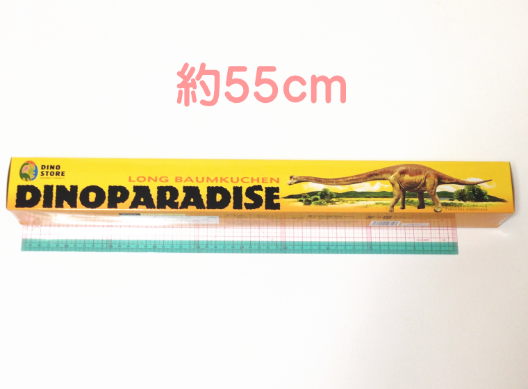 福井県立恐竜博物館 ロングバームクーヘン 長い 約55㎝