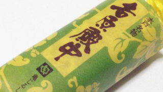 【茨城おみやげ】水戸名物『吉原殿中』が素朴な味わいで美味しい