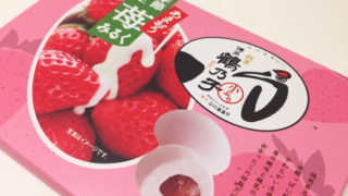 【福岡おみやげ】季節限定 苺みるく鶴乃子(つるのこ)が本家よりおいしかった