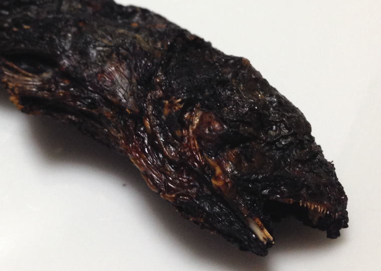 ぽりぽりむつごろう アップ