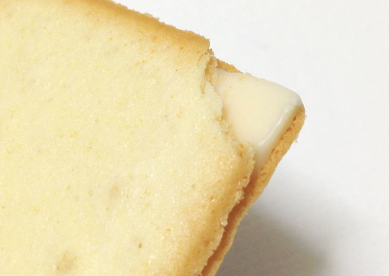 『ソルト＆カマンベールクッキー』 