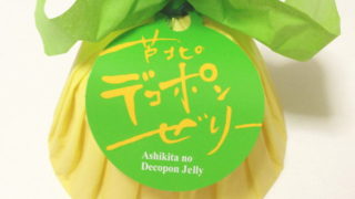 【熊本おみやげ】果肉たっぷり！みずみずしい『芦北のデコポンゼリー』