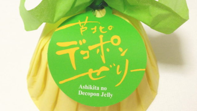 【熊本おみやげ】果肉たっぷり！みずみずしい『芦北のデコポンゼリー』