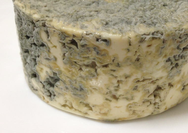 小林牧場物語『手作りブルーチーズ 生タイプ』 カビに覆われている